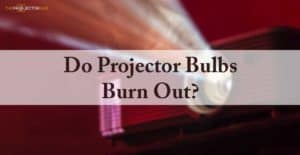 Do projector bulbs burn out